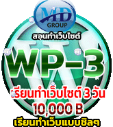 สอนทำเว็บไซต์ชลบุรี