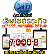 ทำเว็บไซต์ชลบุรี ไอคอนทำเว็บไซต์